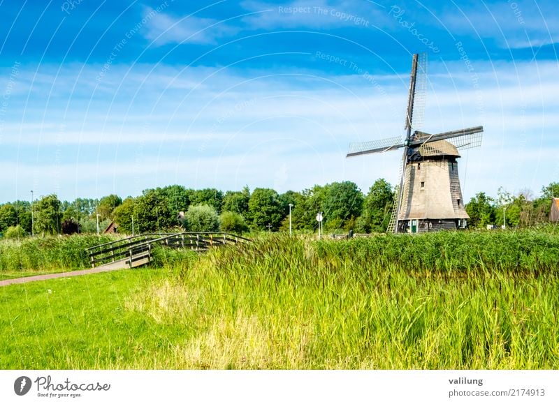 Traditionelle niederländische Windmühle Ferien & Urlaub & Reisen Tourismus Landschaft Park Gebäude Architektur grün Alkmaar Europa Niederlande farbenfroh Feld