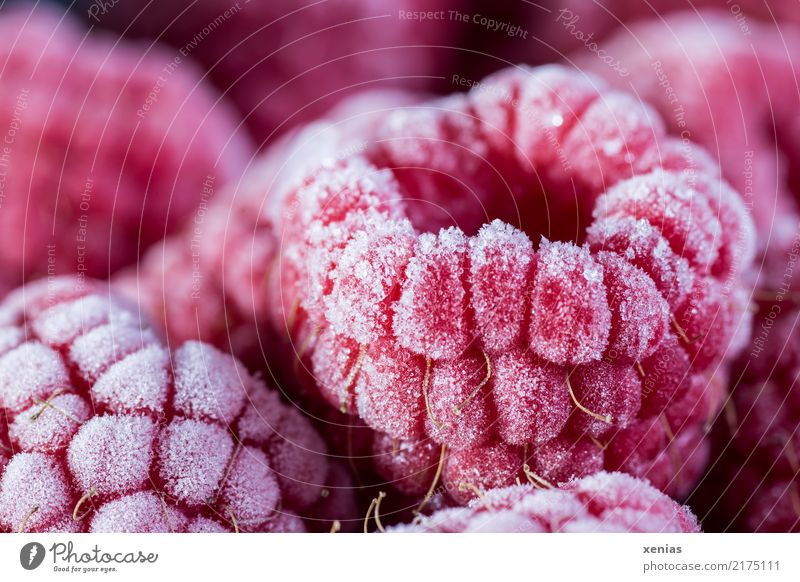 Himbeeren eiskalt Frucht Bioprodukte Vegetarische Ernährung Gesunde Ernährung Gesundheit rund sauer süß rot weiß gefroren tiefgekühlt tiefgefroren Eis