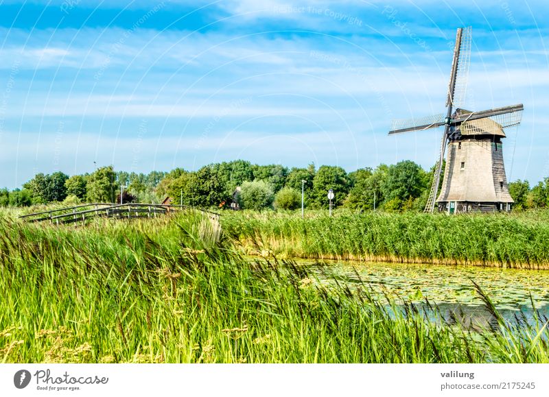 Traditionelle niederländische Windmühle Ferien & Urlaub & Reisen Tourismus Landschaft Park Gebäude Architektur grün Alkmaar Europa Niederlande farbenfroh Feld