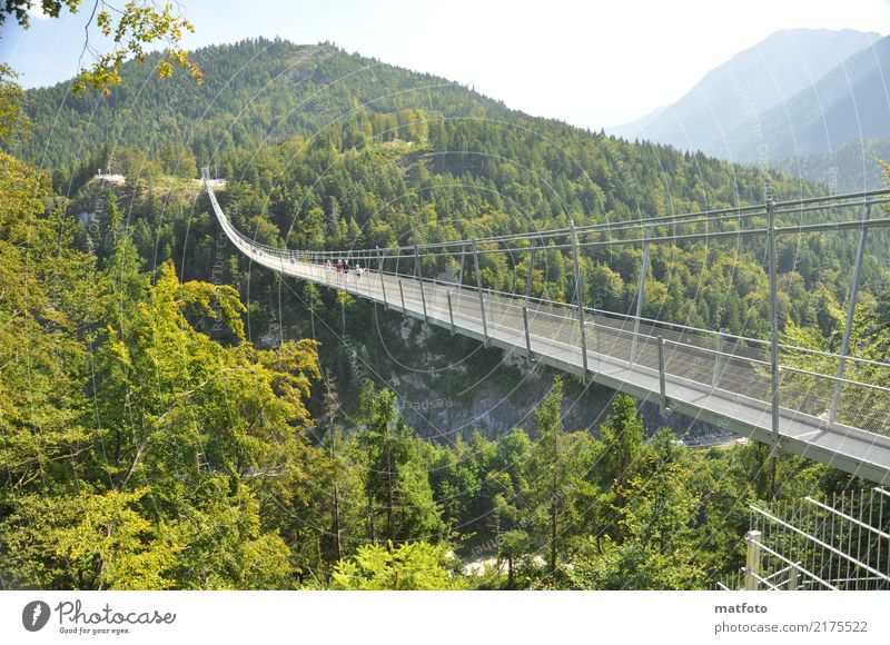 highline 179 -2 Architektur Landschaft Sonnenlicht Sommer Schönes Wetter Wald Berge u. Gebirge Bauwerk Sehenswürdigkeit Wahrzeichen Brücke Metall Stahl