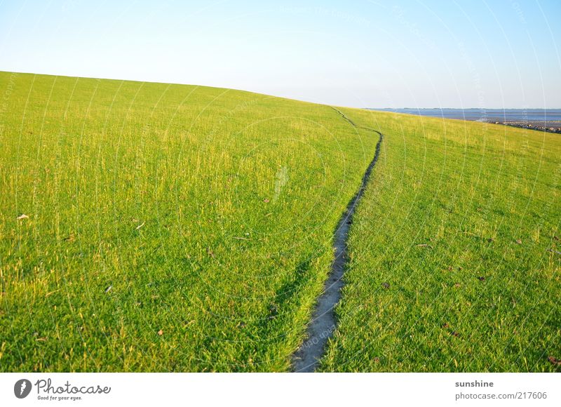 Der Weg Landschaft Himmel Wolkenloser Himmel Sommer Schönes Wetter Gras Wiese Hügel Küste Nordsee Zufriedenheit schön Farbfoto Außenaufnahme Tag Licht