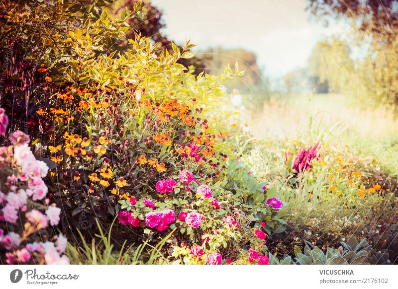 Herbst Garten Mit Blumen Ein Lizenzfreies Stock Foto Von Photocase