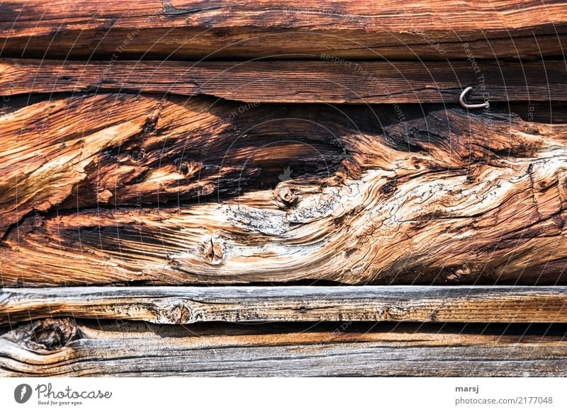 Holz mit Geschichte Nagel Maserung Holzwand alt außergewöhnlich authentisch einzigartig braun entdecken Natur skurril Verfall Riss uneben verdreht verwittert