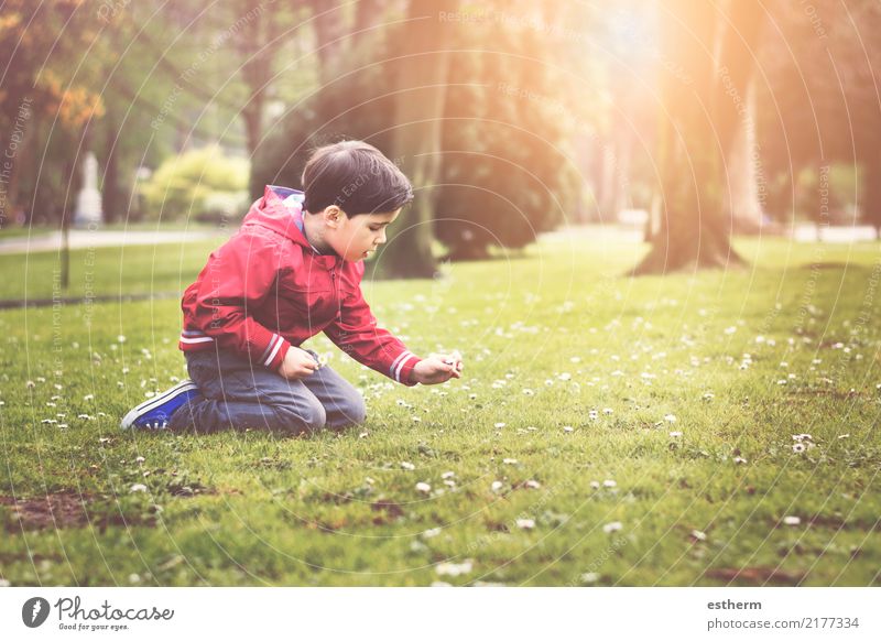 Junge, der im Frühjahr im Park sitzt Lifestyle Freude Freizeit & Hobby Kinderspiel Mensch maskulin Kleinkind Kindheit 1 3-8 Jahre Umwelt Natur Frühling Pflanze