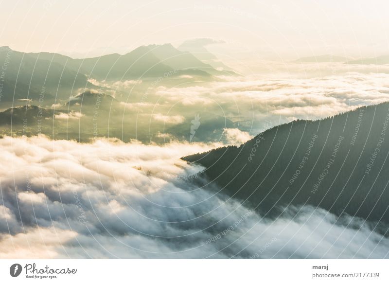 Neuer Tag, neue Woche harmonisch Wohlgefühl Erholung ruhig Meditation Sommer Herbst Schönes Wetter Nebel Hügel Alpen Berge u. Gebirge Ennstaler Alpen