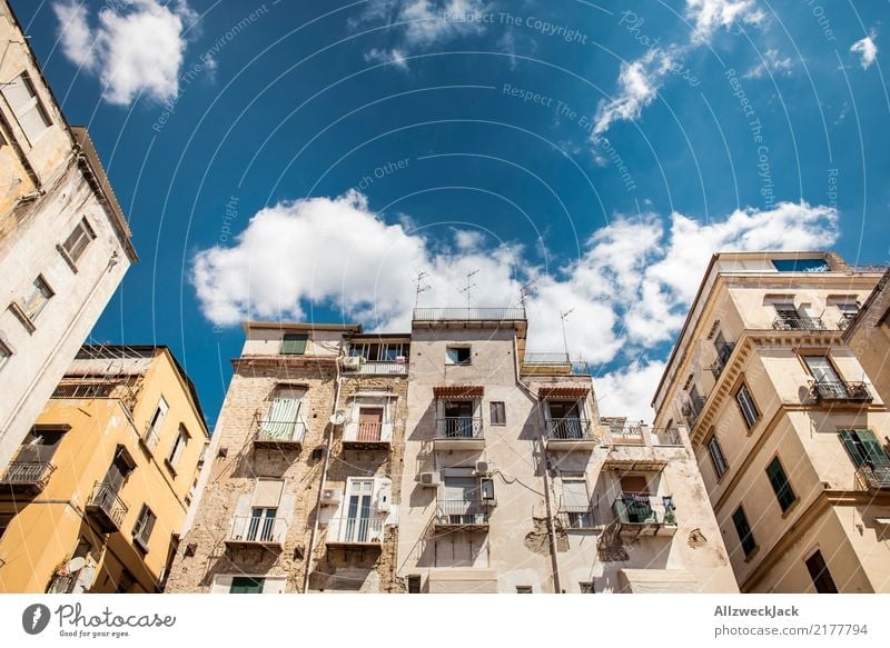 Die Straßen von Neapel 6 Farbfoto Außenaufnahme Blick nach oben Ferien & Urlaub & Reisen Sightseeing Städtereise Sommerurlaub Lifestyle Lebensfreude Haus
