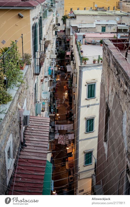 Die Straßen von Neapel 10 Farbfoto Außenaufnahme Vogelperspektive Ferien & Urlaub & Reisen Sightseeing Städtereise Sommerurlaub Lifestyle Haus Dämmerung