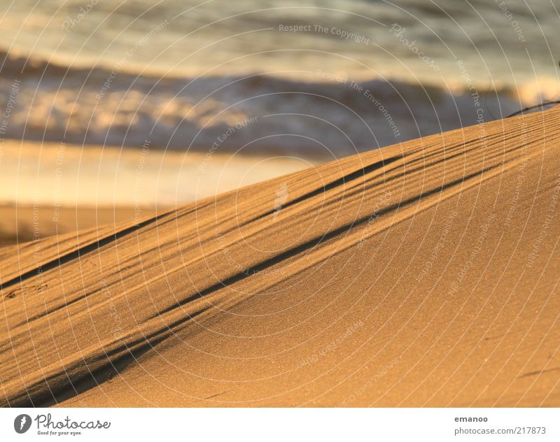 sandig Freiheit Sommer Strand Insel Wellen Sand Wasser Wärme Küste Meer weich gelb gold Linie Stranddüne Wind Erosion fein viele Sandstrand Farbfoto