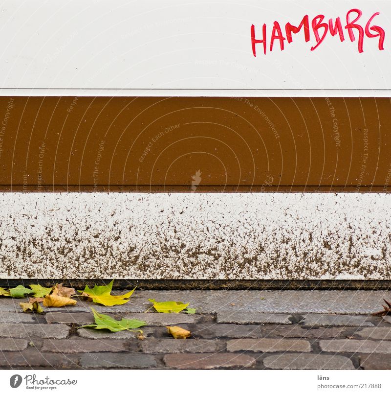 Hamburg ist braun-weiß Herbst Blatt Wege & Pfade Stein Metall Schriftzeichen Graffiti dreckig Kopfsteinpflaster Garagentor Schanzenviertel Einfahrt geschlossen