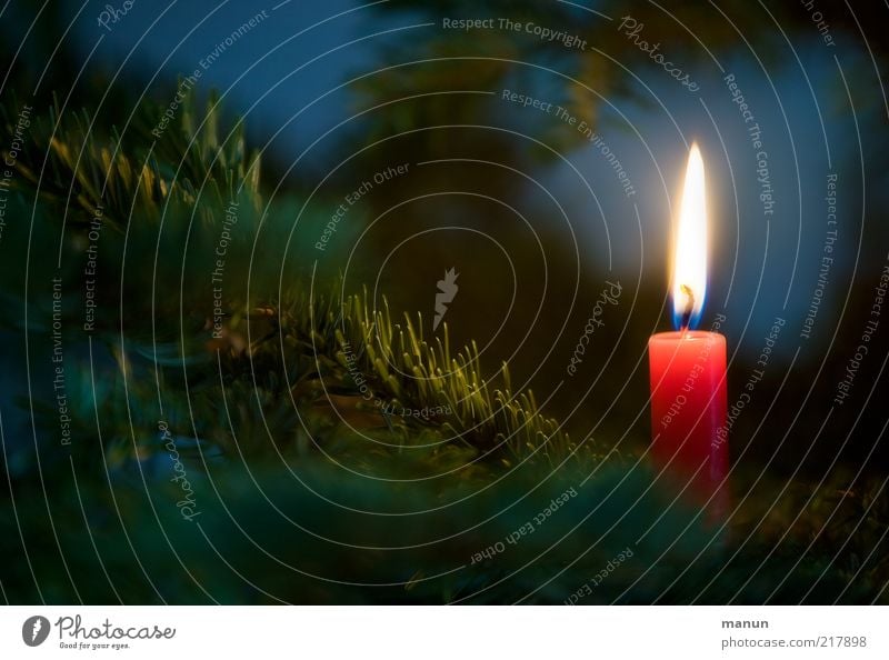 ...ein Lichtlein brennt Feste & Feiern festlich Festbeleuchtung Kerzenschein Kerzenflamme Kerzenstimmung Weihnachtsbaum Tannenzweig Tannennadel