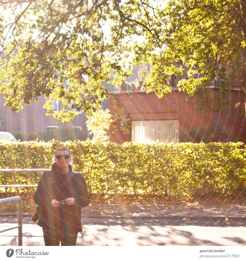 Licht und Liebe Stil Ausflug Fotokamera Mensch Frau Erwachsene Haus Straße Bekleidung Blick stehen Fröhlichkeit Baum Blatt Hecke Fenster spektral Sonnenbrille