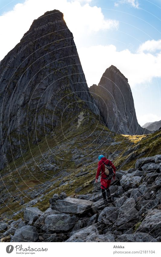 Gipfelsturm, Norwegen sportlich Abenteuer Ferne Freiheit Berge u. Gebirge wandern 1 Mensch Urelemente Felsen Lofoten außergewöhnlich dunkel fantastisch