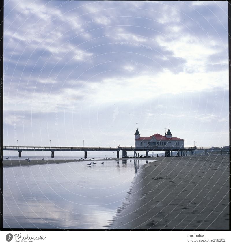 Zinnowitz Ferien & Urlaub & Reisen Tourismus Ferne Sommer Strand Meer Insel Umwelt Natur Wolken Schönes Wetter Ostsee Brücke Seebrücke Erholung Blick alt
