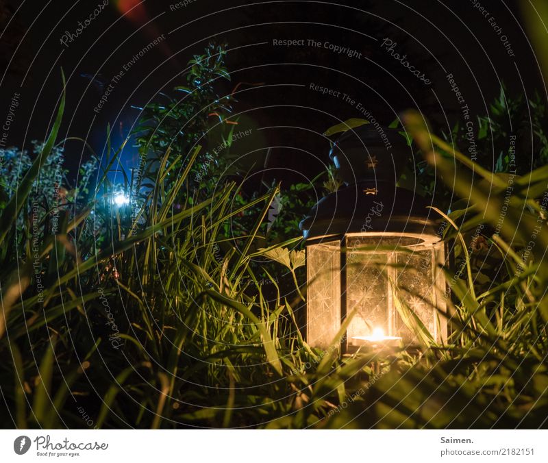 Nächtliches Stillleben nacht Stilleben dunkel laterne licht Kerze Gras leuchten Hölle Windlicht Glas Garten Farbfoto Dekoration & Verzierung Lampe