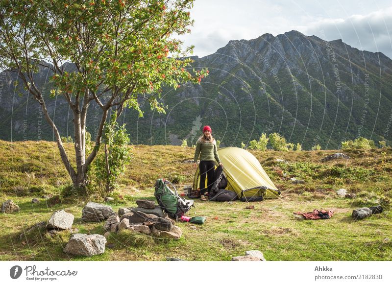 Kleines grünes Zelt unter einem Baum vor einem massiven Berghang Ferien & Urlaub & Reisen Ausflug Abenteuer Ferne Freiheit Sommerurlaub Berge u. Gebirge