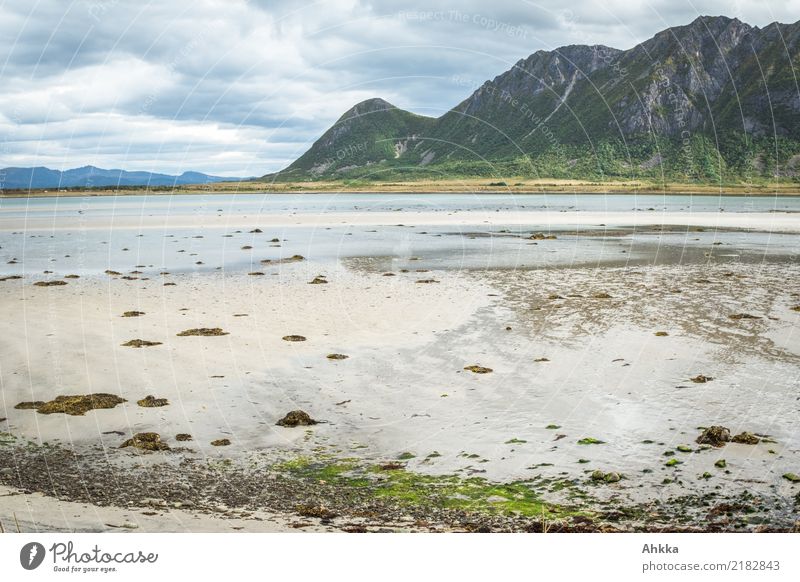 Strand in Norwegen, Lofoten, Sand und Berge Erholung ruhig Ferien & Urlaub & Reisen Ferne Meer Berge u. Gebirge Küste Gelassenheit Zufriedenheit Natur