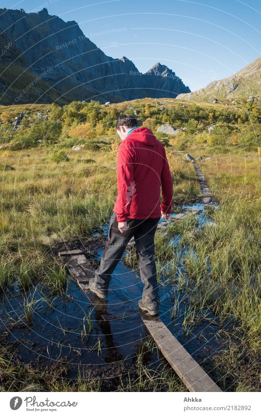 Junger Mann wagt einen Schritt in unsicherem Gelände Ferien & Urlaub & Reisen Abenteuer Berge u. Gebirge wandern Mensch Jugendliche Natur Landschaft Moor Sumpf