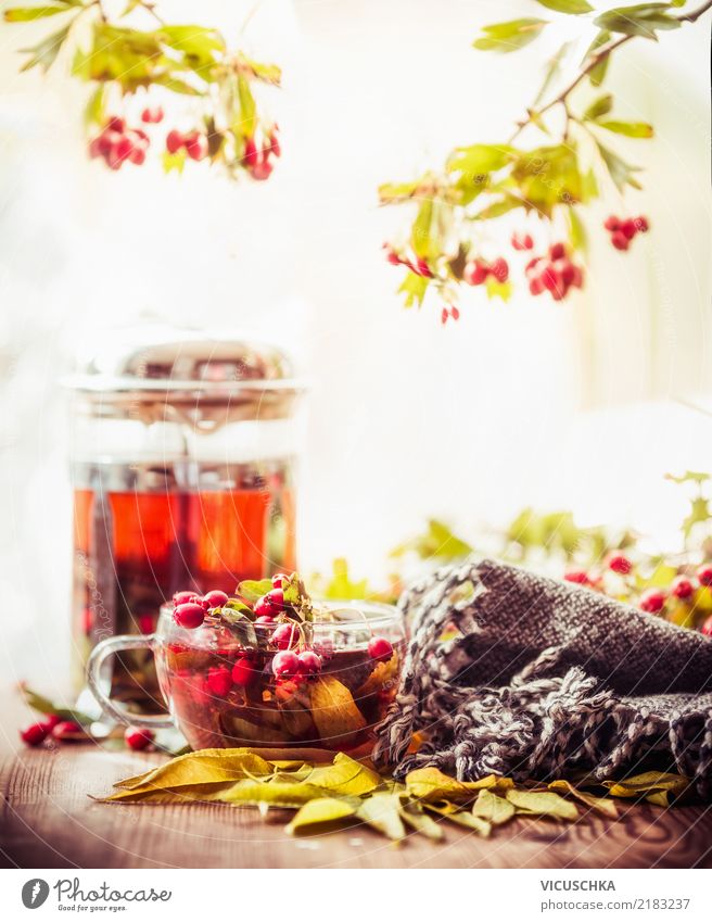 Herbst Tee auf dem Gartentisch Lebensmittel Getränk Heißgetränk Tasse Lifestyle Stil Design Alternativmedizin Gesunde Ernährung Winter Weihnachten & Advent