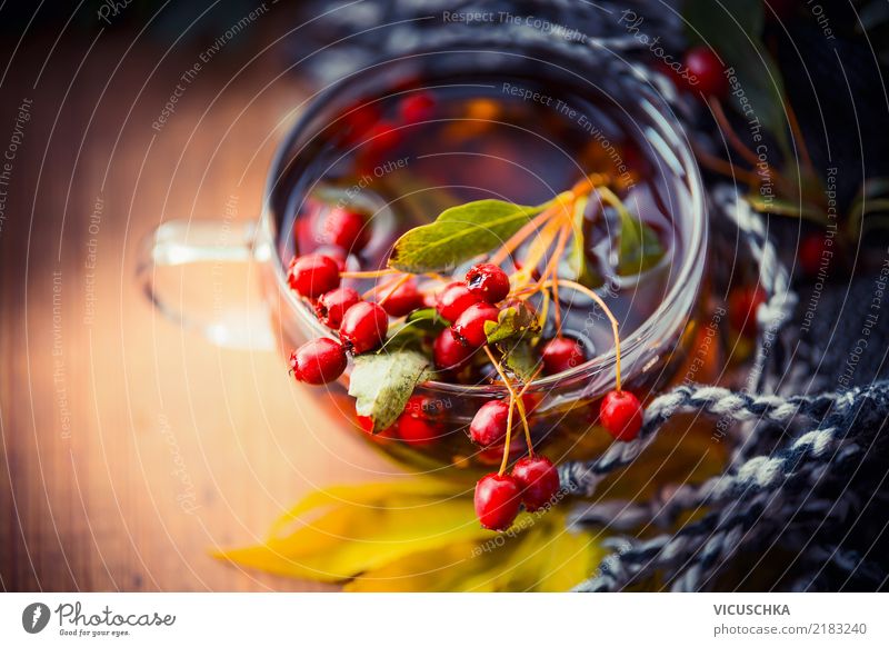 Tasse Herbst Tee mit roten Beeren, Herbst Blätter und Schal Getränk Heißgetränk Lifestyle Stil Design Gesundheit Gesunde Ernährung Häusliches Leben Natur