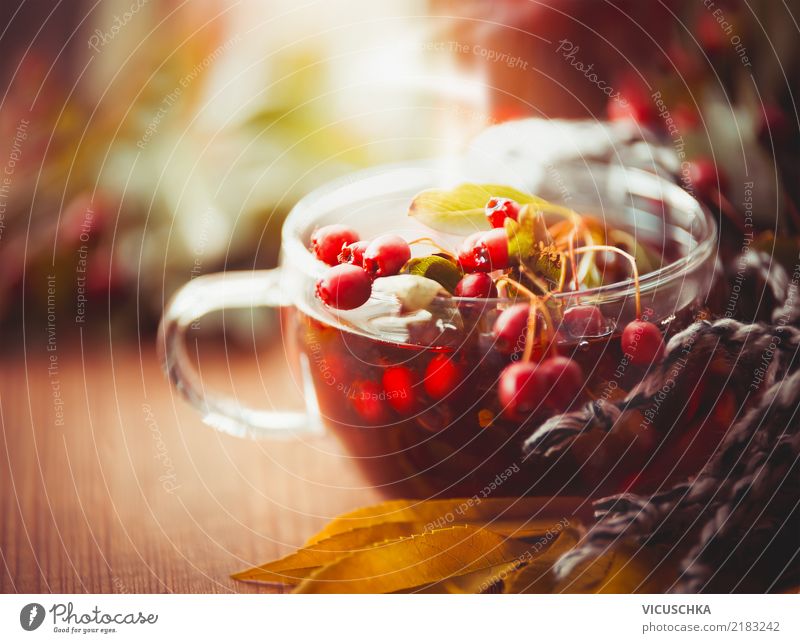 Herbstliche Tasse Tee mit roten Beeren von Weißdorn Getränk Heißgetränk Lifestyle Stil Design Gesundheit Alternativmedizin Leben Erholung Häusliches Leben