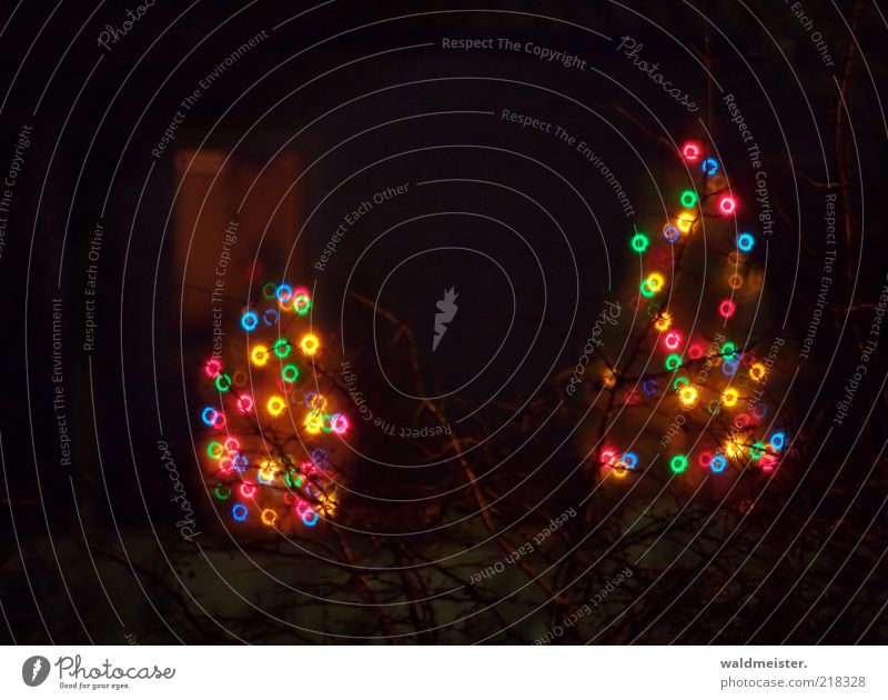 Weihnachtsbäume braun schwarz Vorfreude ästhetisch Lichterkette Weihnachtsbaum Spiegellinsenobjektiv (Effekt) Farbfoto mehrfarbig Außenaufnahme Experiment