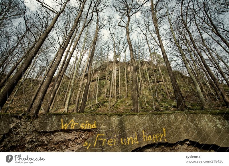 Wir sind frei und happy! Lifestyle Freude Leben Zufriedenheit ruhig Umwelt Natur Landschaft Herbst Baum Wald Mauer Wand Schriftzeichen Graffiti einzigartig