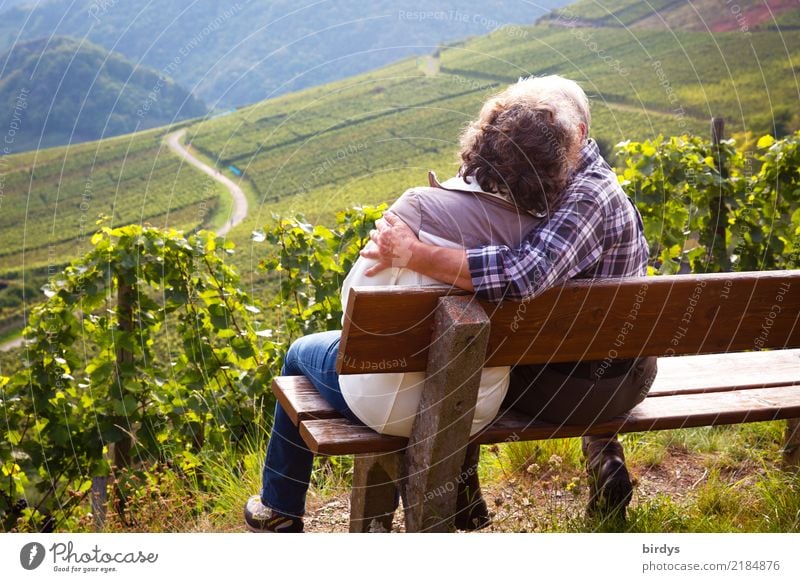 Zwei Senioren sitzen auf einer Bank im Weinberg und küssen sich Leben Wohlgefühl Ausflug wandern Weiblicher Senior Frau Männlicher Senior Mann Paar Partner 2