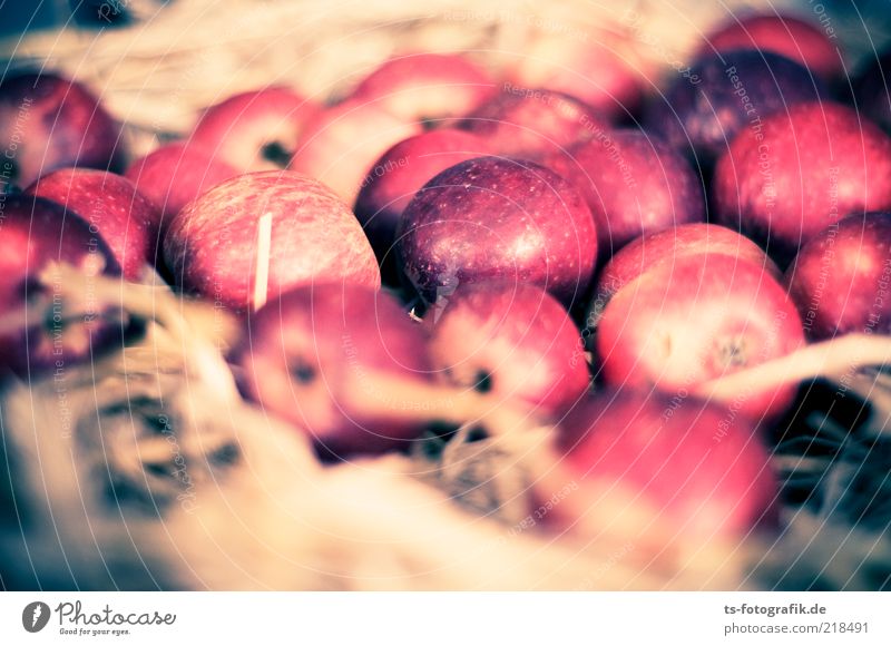 Apfelvogel-Nest Lebensmittel Frucht Ernährung Bioprodukte Slowfood Duft Erntedankfest Herbst Stroh lecker rund saftig braun grau rot Farbe Natur Apfelernte