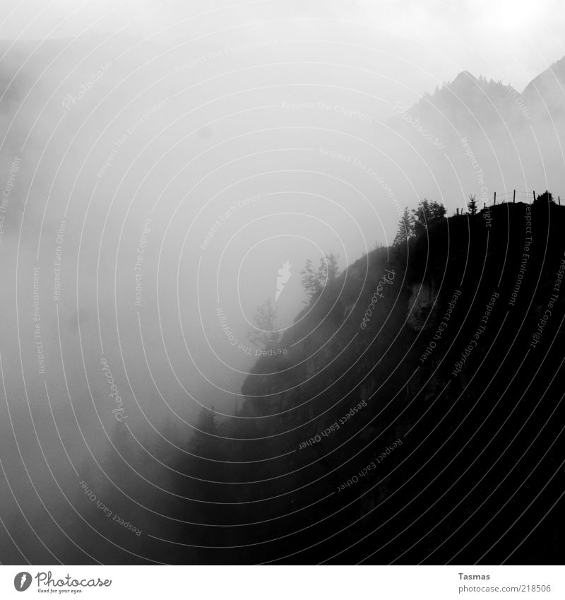 Sennentuntschi Landschaft Urelemente Luft Wetter Baum Felsen Alpen Gipfel Natur Schwarzweißfoto Außenaufnahme Menschenleer Schatten Silhouette Bergwald Dunst