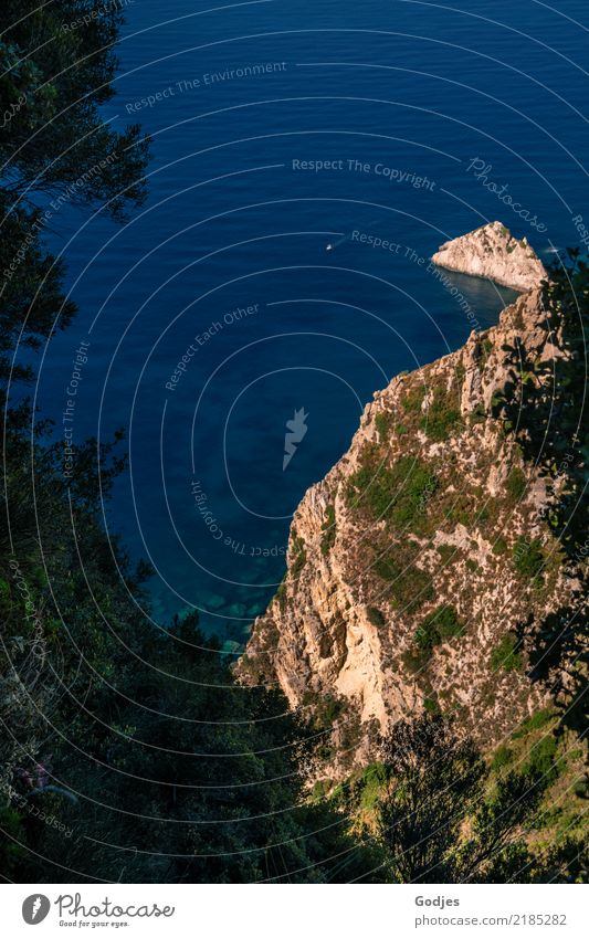 Landzunge bei Angelokastro Wasser Sommer Baum Sträucher Meer Insel Korfu Bootsfahrt Segelboot Segelschiff Ferien & Urlaub & Reisen maritim blau braun grün ruhig