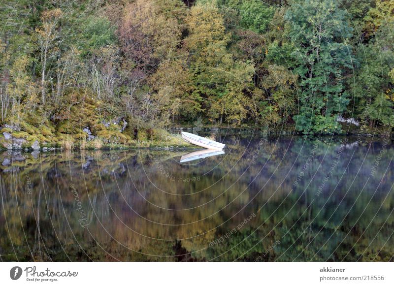 Wasserspielung Umwelt Natur Pflanze Urelemente Herbst Baum Wildpflanze Wald Seeufer natürlich Wasserfahrzeug Anlegestelle Wasserspiegelung Spiegelbild ruhig