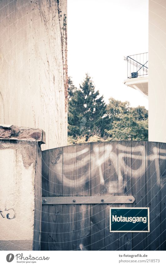 Gangausnot Pflanze Baum Menschenleer Haus Gebäude Mauer Wand Fassade Balkon Tür Tor Hinterhof Notausgang Zeichen Schriftzeichen Graffiti braun gelb stagnierend