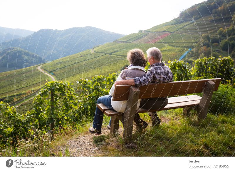 Ein Seniorenpaar sitzt entspannt auf einer Bank im Weinberg und genießt den Ausblick Wohlgefühl ruhig Ausflug maskulin feminin Weiblicher Senior Frau