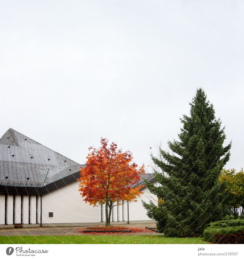 herbst - grün, rot, grau Natur Himmel Pflanze Baum Gras Sträucher Park Haus Bauwerk Gebäude Architektur Fassade Dach trist Farbfoto Außenaufnahme Menschenleer
