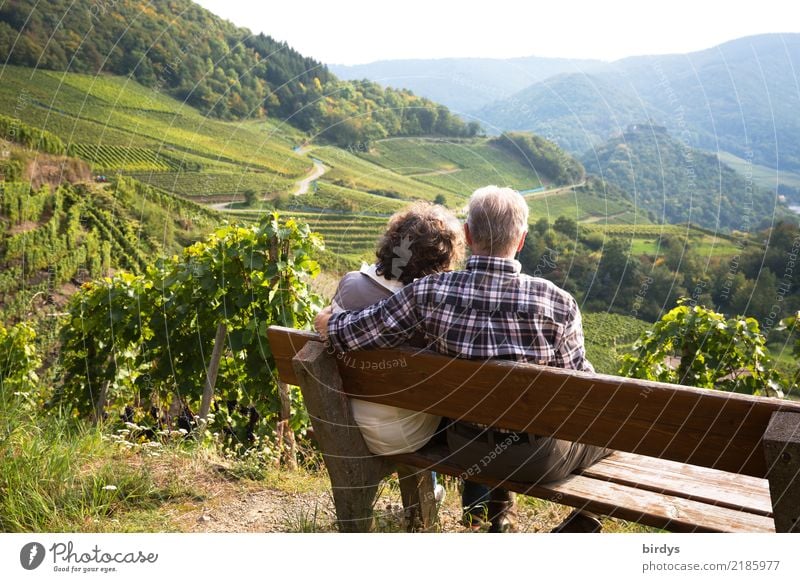 ein Seniorenpaar sitzt, gemütlich auf einer Bank im Weinberg und schaut ins Ahrtal. Er hat liebevoll den Arm um sie gelegt Leben Erholung
