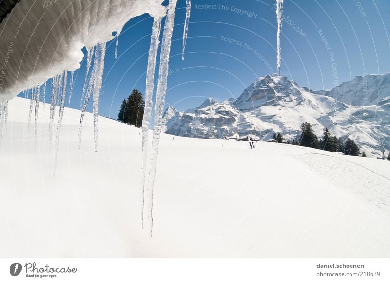 ...und so sieht er aus, der Winter ! Ferien & Urlaub & Reisen Tourismus Schnee Winterurlaub Berge u. Gebirge Landschaft Klima Schönes Wetter Eis Frost Alpen