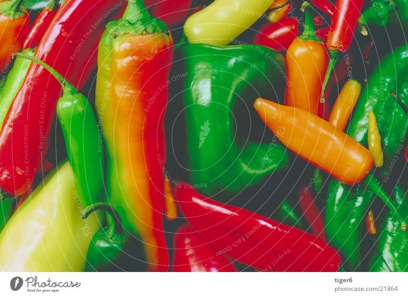 Paprika arrangiert Gesundheit Gemüse Ernährung