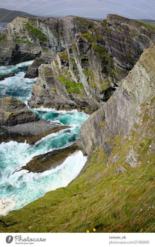 Cliffs of Kerry Umwelt Natur Landschaft Pflanze Urelemente Felsen Schlucht Wellen Küste Bucht Meer Aggression fantastisch kalt maritim Kraft