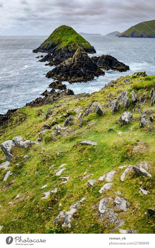 Inselgruppe vor Irland Umwelt Natur Landschaft Pflanze Urelemente Erde Wasser Wolken Horizont Gras Wiese Felsen Küste Fjord Meer ästhetisch kalt Tugend Fernweh