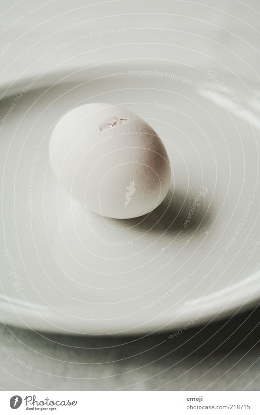 puristisch Bioprodukte Geschirr Teller rund weiß Oval Ei Riss entstehen Geburt minimalistisch Strukturen & Formen Eierschale Hühnerei Kalk Ernährung reduziert