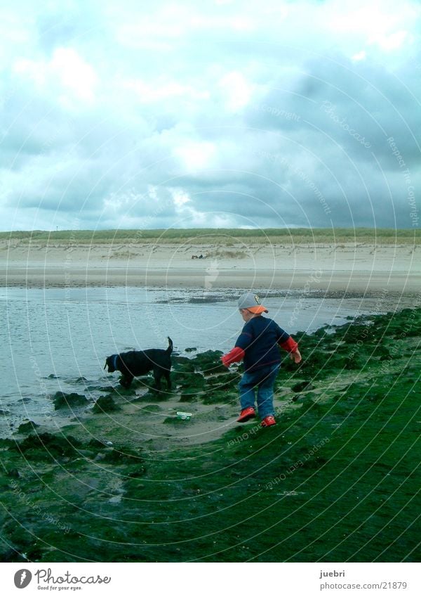 Kind mit Hund an der Nordsee Suche Niederlande Strand Meer Mann Wasser