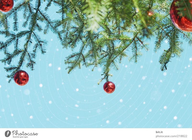Schneeflöckchen... (III) Natur Himmel Winter Eis Frost Schneefall Kitsch Tradition Weihnachten & Advent Weihnachtsdekoration Weihnachtsbaum Kugel Zweige u. Äste