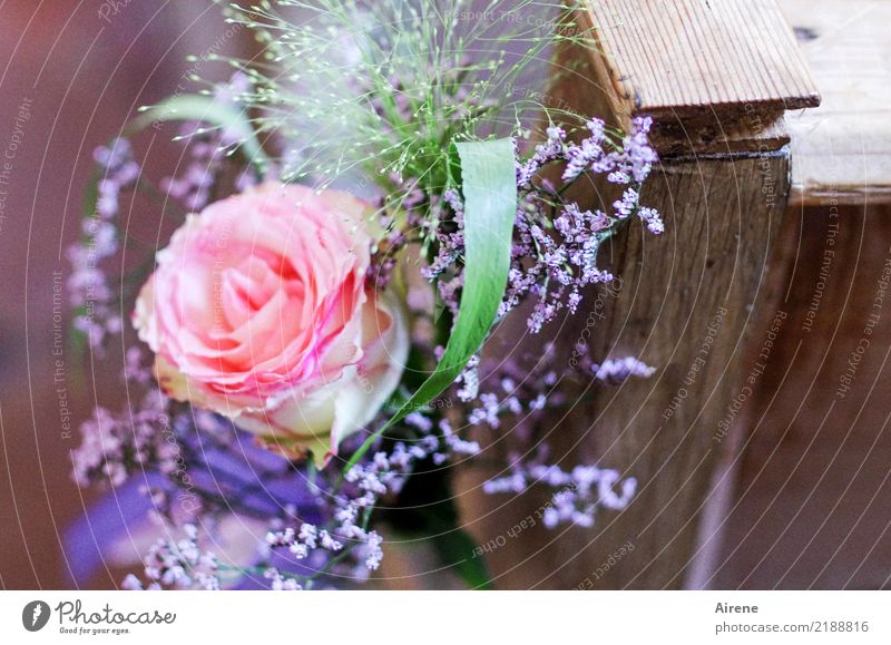für rosige Zeiten Feste & Feiern Hochzeit Rose Kirche Kirchenbank Blumenstrauß Holz Blühend Duft Glück positiv grün violett rosa Gefühle Liebe Romantik zart