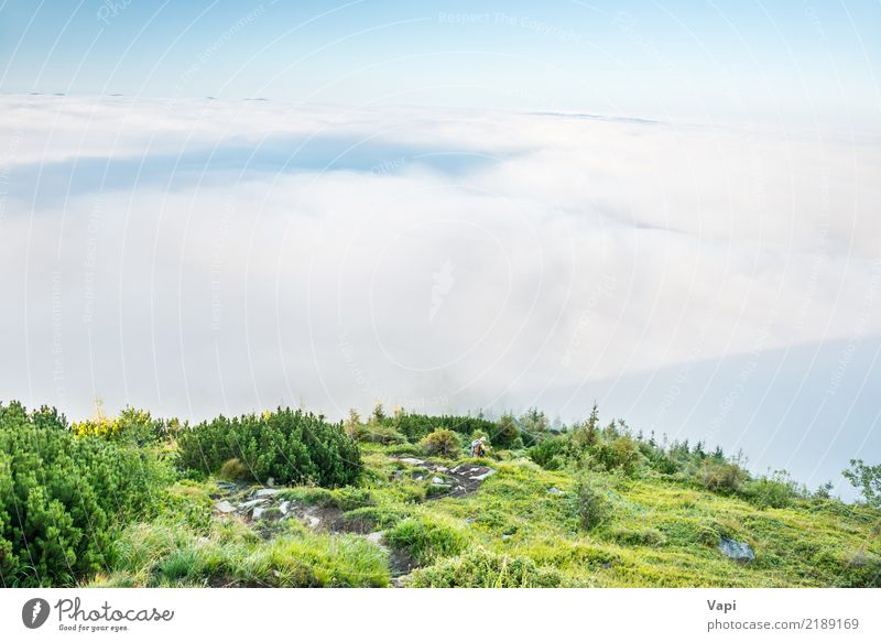 Landschaftsansicht über grüne Hügel im Nebel bei Sonnenuntergang Lifestyle Freizeit & Hobby Ferien & Urlaub & Reisen Tourismus Ausflug Abenteuer Sommer