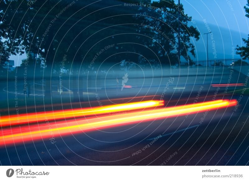 Tempo Verkehrsmittel Verkehrswege Autofahren Straße Geschwindigkeit Dynamik Leuchtspur Scheinwerfer Baum Allee Unschärfe Farbfoto Außenaufnahme Experiment