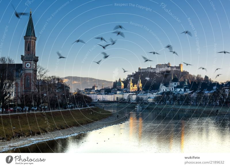 STÄDTE: Salzburg Stadt Kirche Dom Burg oder Schloss Wahrzeichen Stimmung Salzach Festung Querformat horizontal Salzburger Dom "Vögel," Österreich Blauer Himmel