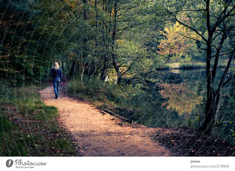 Allein Erholung Frau Erwachsene 1 Mensch Natur Landschaft Herbst Baum Park Wald Seeufer Teich Wege & Pfade gehen retro dünn gelb grün Romantik Gelassenheit