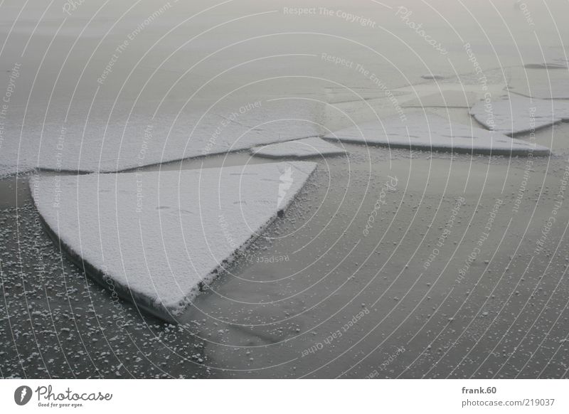 Eis Scholle Winter Natur Landschaft Wasser Nebel Schnee See Chiemsee frieren eckig kalt grau weiß Einsamkeit bizarr Frieden ruhig träumen Umwelt Farbfoto