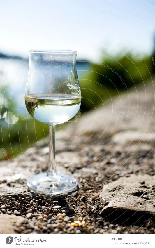 Ein Glas Riesling (II) Getränk Alkohol Wein Weißwein Weinglas Weissweinglas Lifestyle Stil Wohlgefühl Zufriedenheit Erholung Sommer Umwelt Natur Landschaft