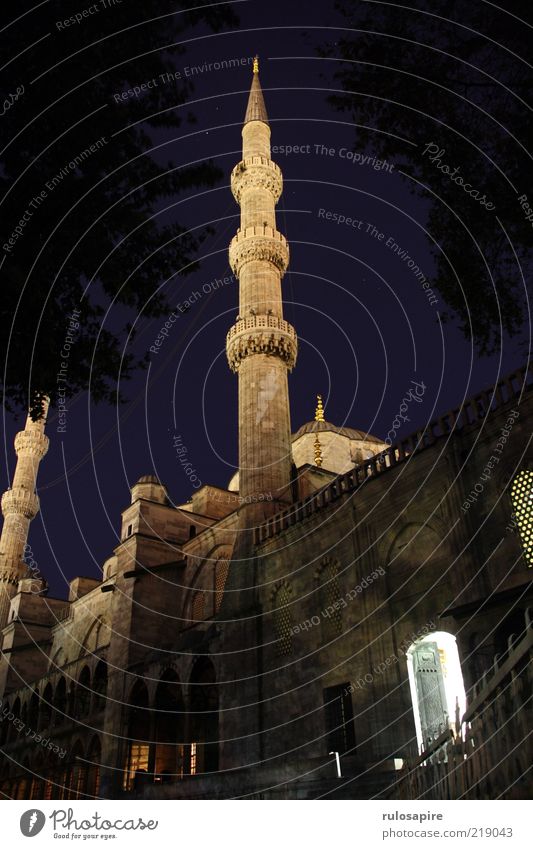 Blaue Moschee Ferien & Urlaub & Reisen Tourismus Sightseeing Städtereise Istanbul Türkei Altstadt Turm Bauwerk Gebäude Architektur Minarett Fassade Eingang